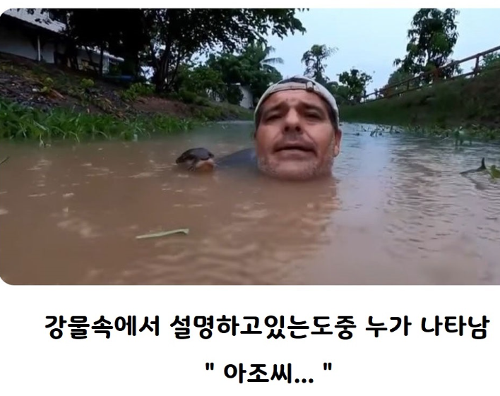 20240302230140306_3SXKtAA.png