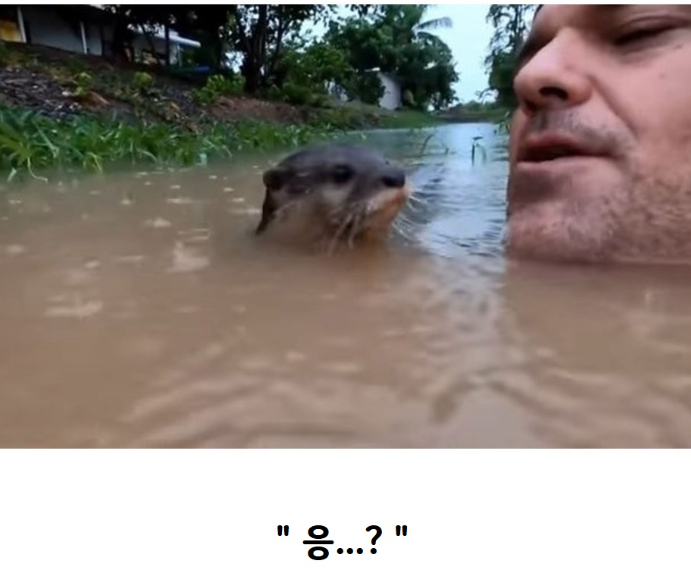 20240302230141313_3MHMIQF.png