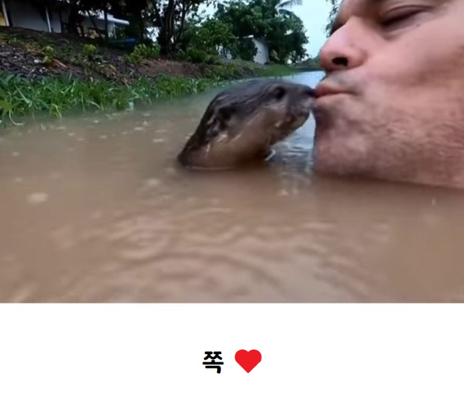 20240302230141499_tpYMe1.png