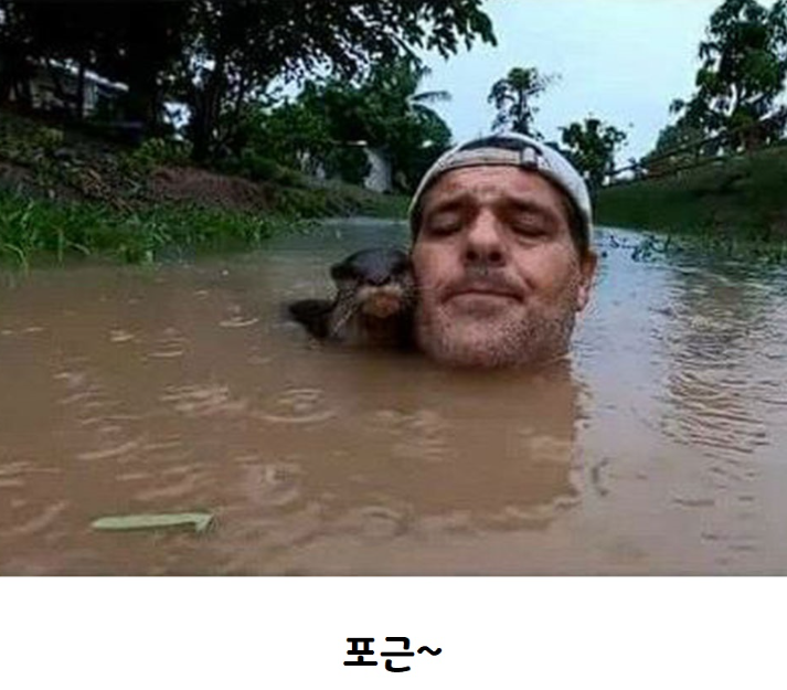 20240302230141626_2YEOK3k.png