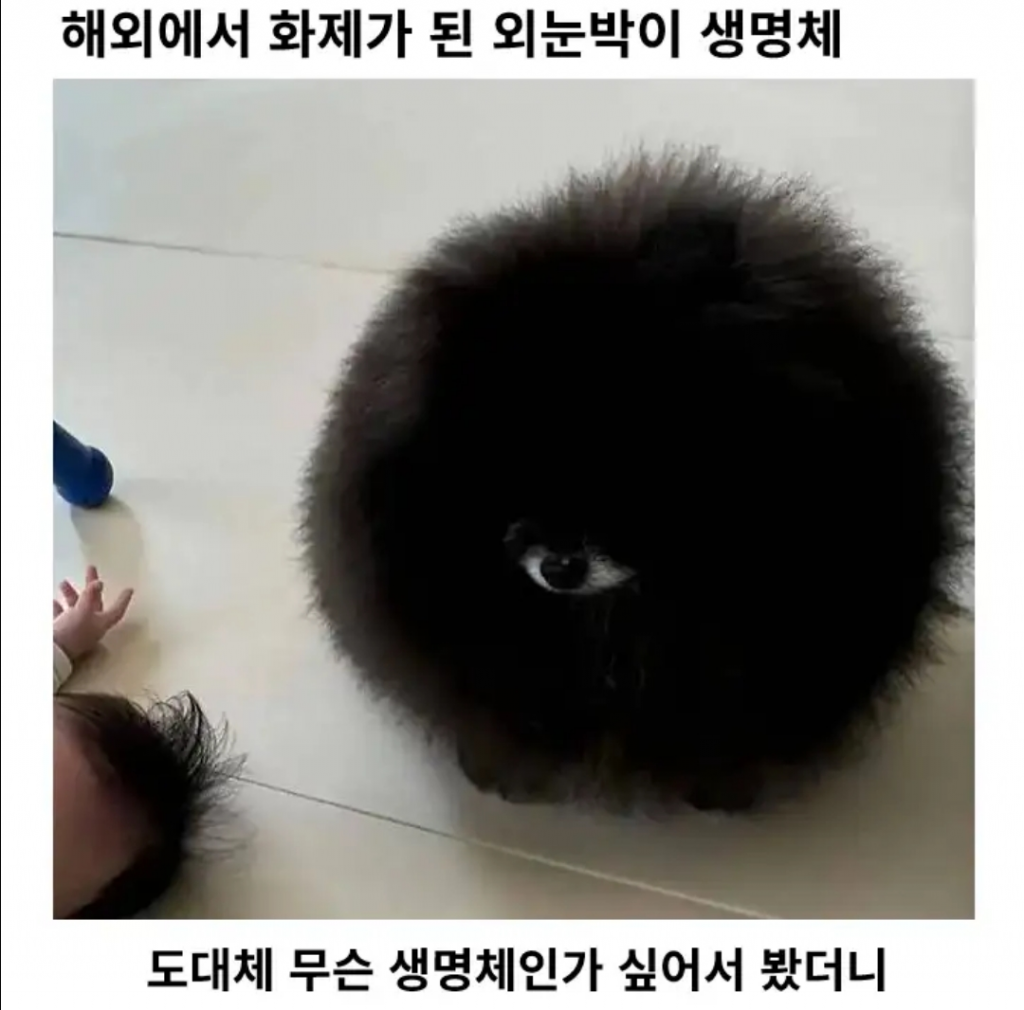 20250706010949651_4WB3pOo.png