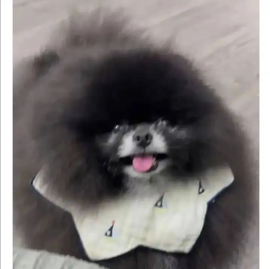 20250706010949944_GeVS7O.png