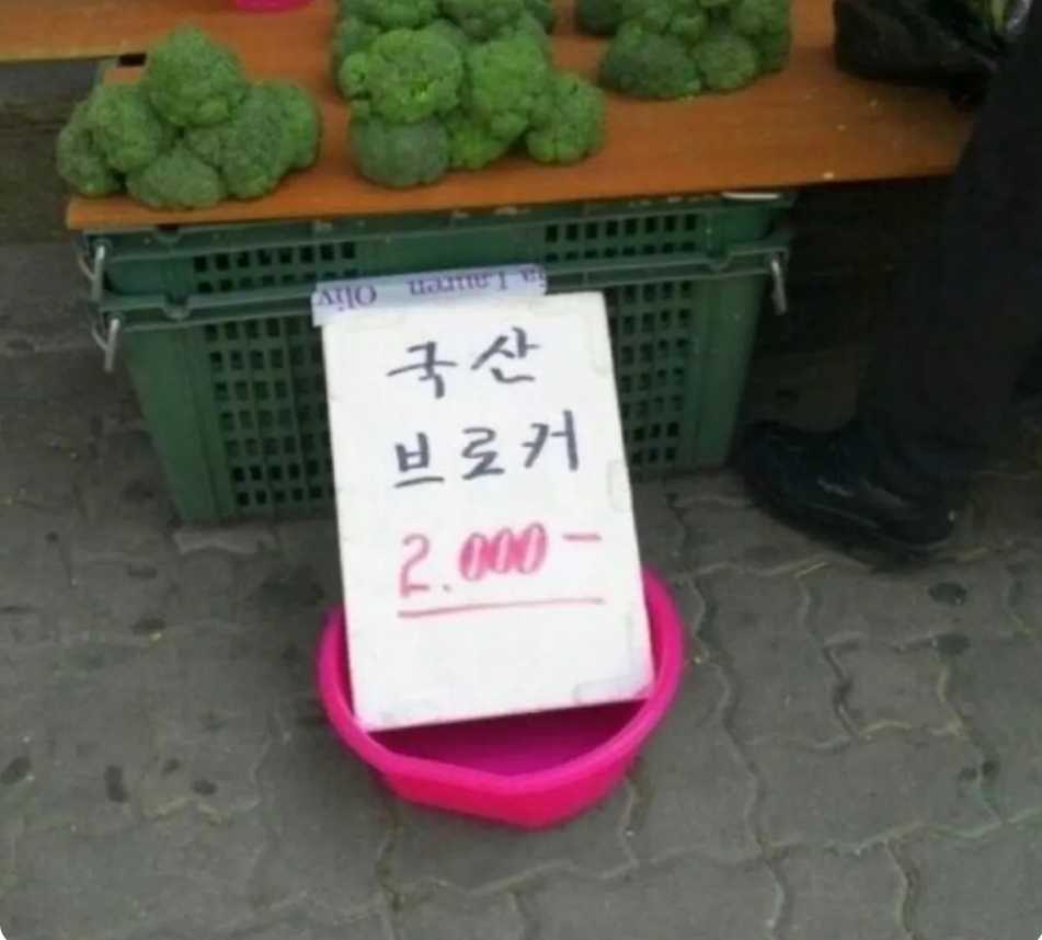 2025081919190718_2vKXMoU.jpg