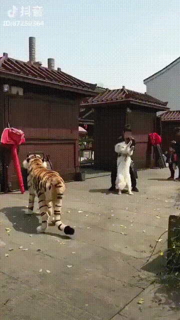 20250918133037333_33B3ZgH.webp