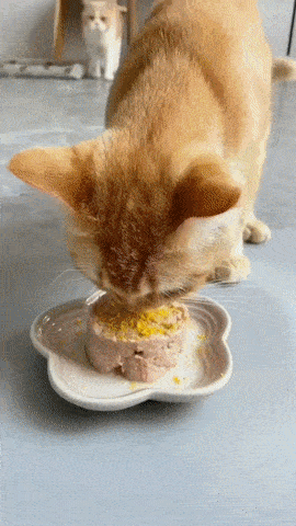 20250919071233930_4ZSKwSP.gif