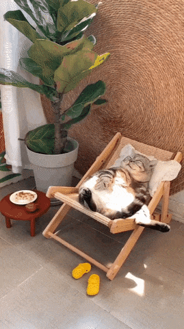 20250923055943640_DiP6MB.gif