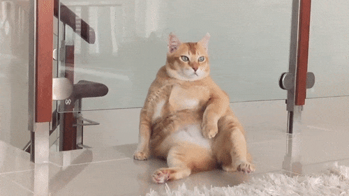 20250924022505667_1tcki8.gif