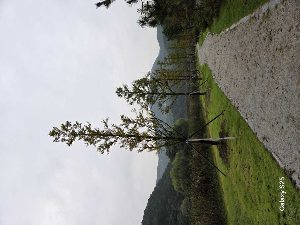 20251005071159478_1szdevl.jpg