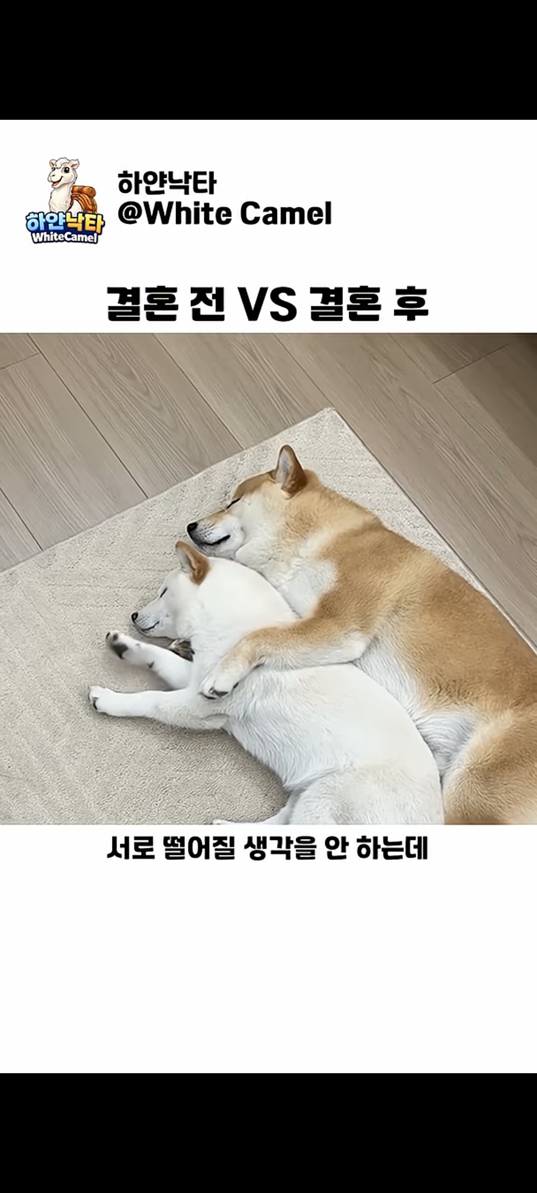 20260624004037703_CIKU2t.jpg